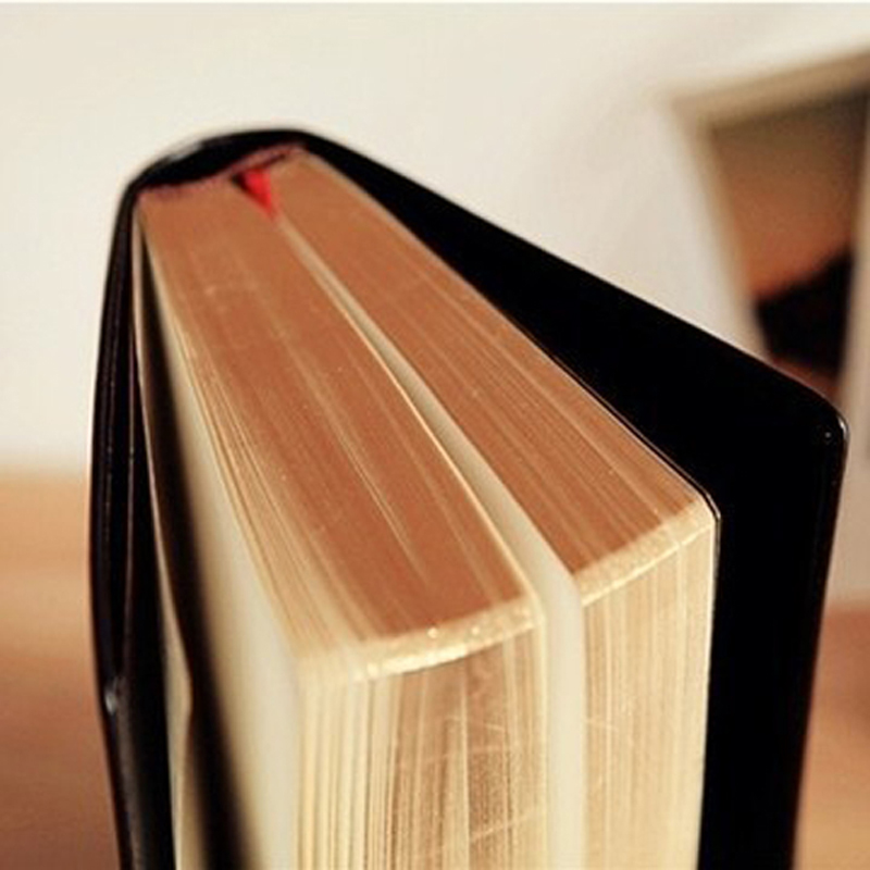 ヴィンテージ厚手の革の聖書のノートブック,空白の日記,レトロ - Vintage Leather Journal Notebook のレビューと価格
